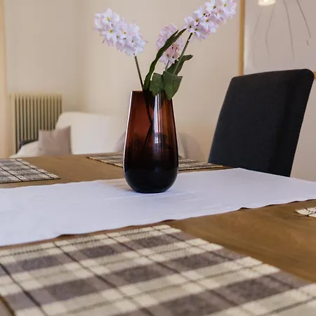 Savvitsa's Apartment